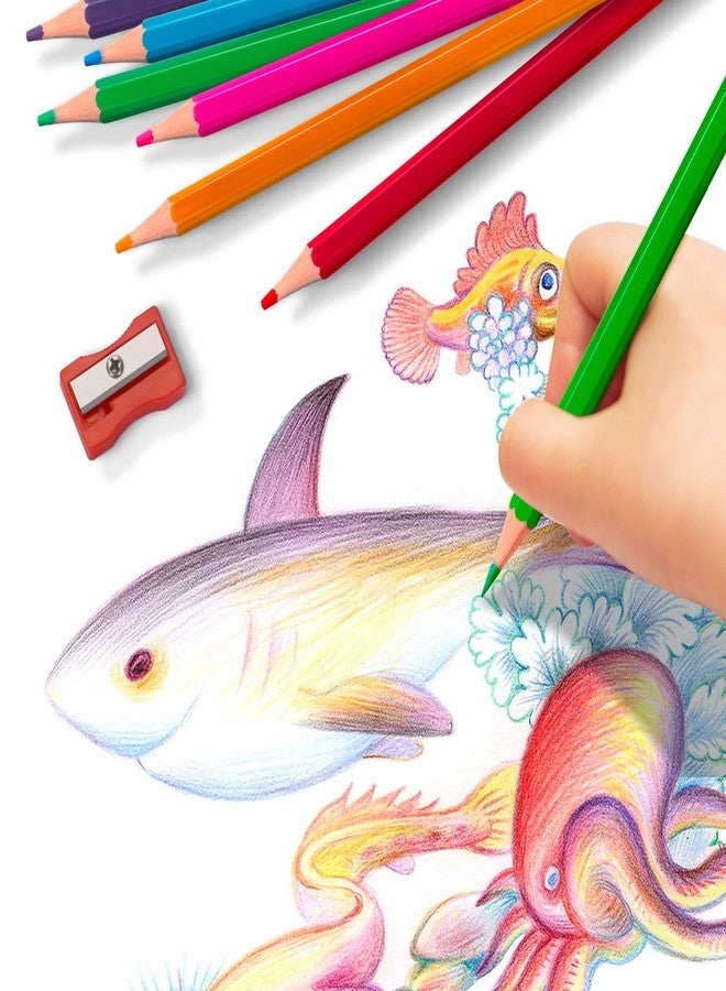 Aigybobo 240 Count Colored Pencils Bulk for Classrrom, Color Pencils for Kids in 12 Vibrant Colors, Pre-sharpened Coloring Pencils Set Plus 24 Sharpeners, Bulk Pack Colored Pencils for Back to School Supplies - Image 5